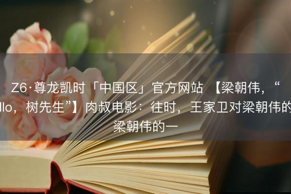 Z6·尊龙凯时「中国区」官方网站 【梁朝伟，“hello，树先生”】肉叔电影：往时，王家卫对梁朝伟的一