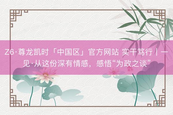 Z6·尊龙凯时「中国区」官方网站 实干笃行｜一见·从这份深有情感，感悟“为政之谈”