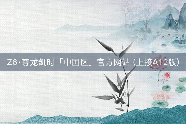 Z6·尊龙凯时「中国区」官方网站 (上接A12版)