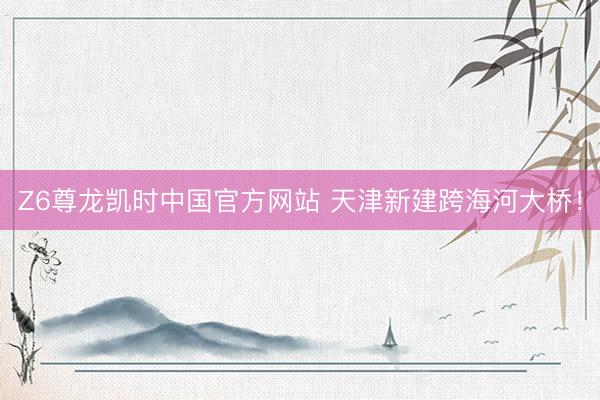 Z6尊龙凯时中国官方网站 天津新建跨海河大桥！