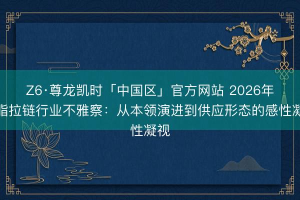 Z6·尊龙凯时「中国区」官方网站 2026年树脂拉链行业不雅察：从本领演进到供应形态的感性凝视
