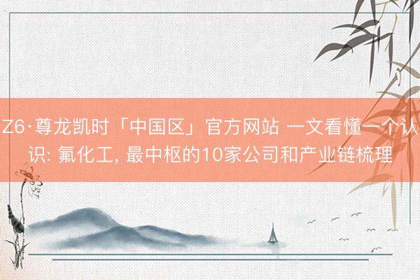 Z6·尊龙凯时「中国区」官方网站 一文看懂一个认识: 氟化工， 最中枢的10家公司和产业链梳理