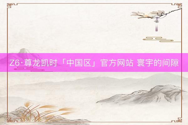 Z6·尊龙凯时「中国区」官方网站 寰宇的间隙
