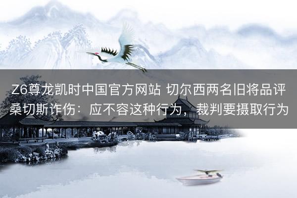 Z6尊龙凯时中国官方网站 切尔西两名旧将品评桑切斯诈伤：应不容这种行为，裁判要摄取行为