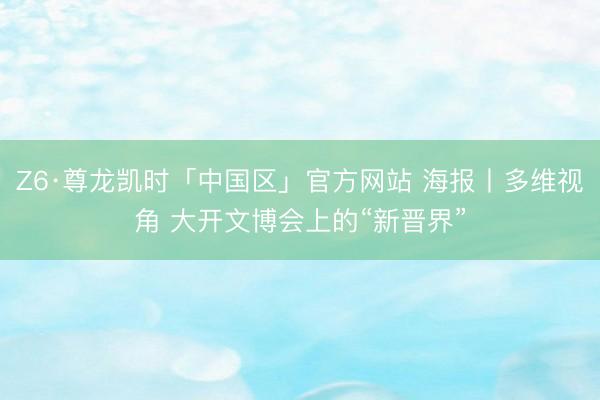 Z6·尊龙凯时「中国区」官方网站 海报丨多维视角 大开文博会上的“新晋界”