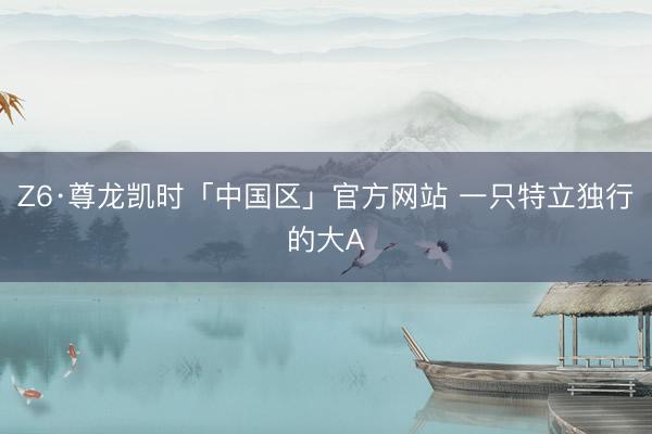 Z6·尊龙凯时「中国区」官方网站 一只特立独行的大A