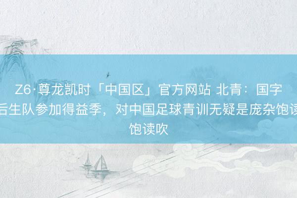 Z6·尊龙凯时「中国区」官方网站 北青：国字号后生队参加得益季，对中国足球青训无疑是庞杂饱读吹