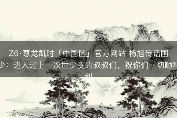 Z6·尊龙凯时「中国区」官方网站 杨旭传话国少：进入过上一次世少赛的叔叔们，祝你们一切顺利