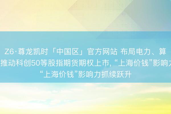 Z6·尊龙凯时「中国区」官方网站 布局电力、算力等期货， 推动科创50等股指期货期权上市， “上海价钱”影响力抓续跃升