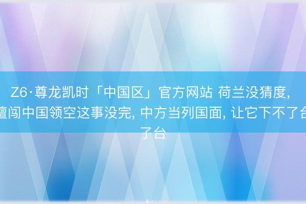 Z6·尊龙凯时「中国区」官方网站 荷兰没猜度， 擅闯中国领空这事没完， 中方当列国面， 让它下不了台