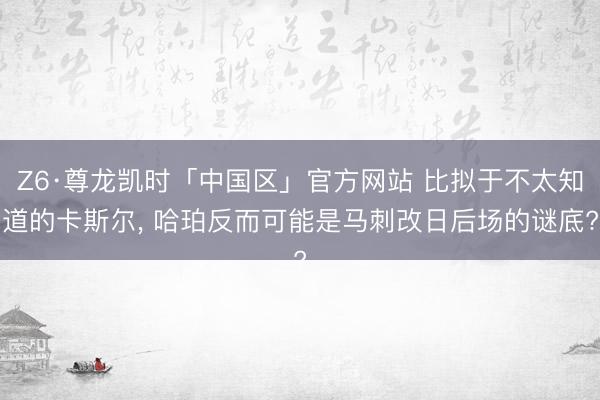 Z6·尊龙凯时「中国区」官方网站 比拟于不太知道的卡斯尔, 哈珀反而可能是马刺改日后场的谜底?