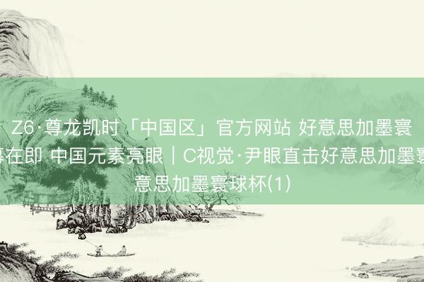 Z6·尊龙凯时「中国区」官方网站 好意思加墨寰球杯揭幕在即 中国元素亮眼｜C视觉·尹眼直击好意思加墨寰球杯(1)