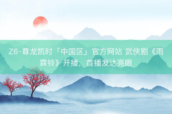 Z6·尊龙凯时「中国区」官方网站 武侠剧《雨霖铃》开播，首播发达亮眼