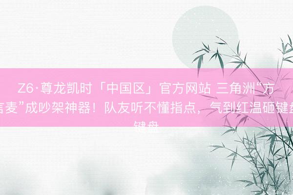 Z6·尊龙凯时「中国区」官方网站 三角洲“方言麦”成吵架神器！队友听不懂指点，气到红温砸键盘