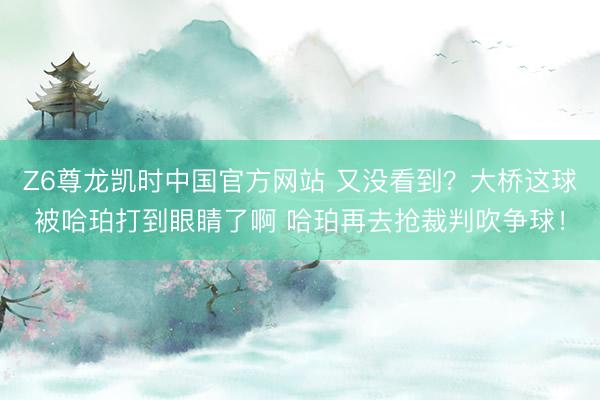 Z6尊龙凯时中国官方网站 又没看到？大桥这球被哈珀打到眼睛了啊 哈珀再去抢裁判吹争球！