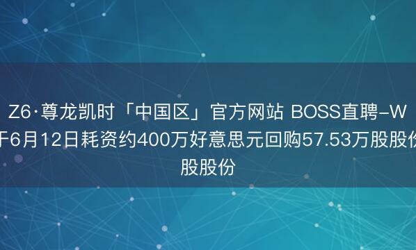 Z6·尊龙凯时「中国区」官方网站 BOSS直聘-W于6月12日耗资约400万好意思元回购57.53万股股份