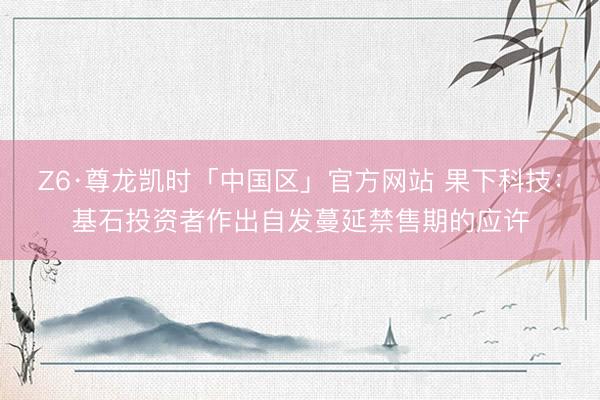 Z6·尊龙凯时「中国区」官方网站 果下科技:基石投资者作出自发蔓延禁售期的应许