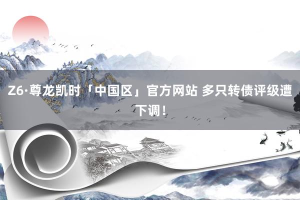 Z6·尊龙凯时「中国区」官方网站 多只转债评级遭下调!