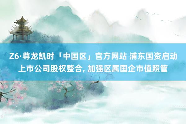 Z6·尊龙凯时「中国区」官方网站 浦东国资启动上市公司股权整合， 加强区属国企市值照管