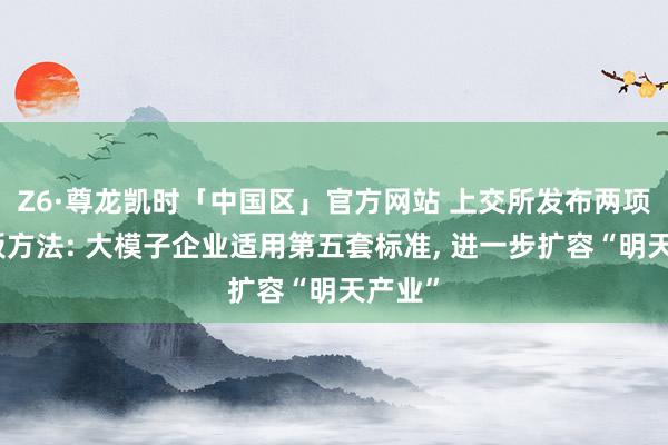 Z6·尊龙凯时「中国区」官方网站 上交所发布两项科创板方法: 大模子企业适用第五套标准， 进一步扩容“明天产业”
